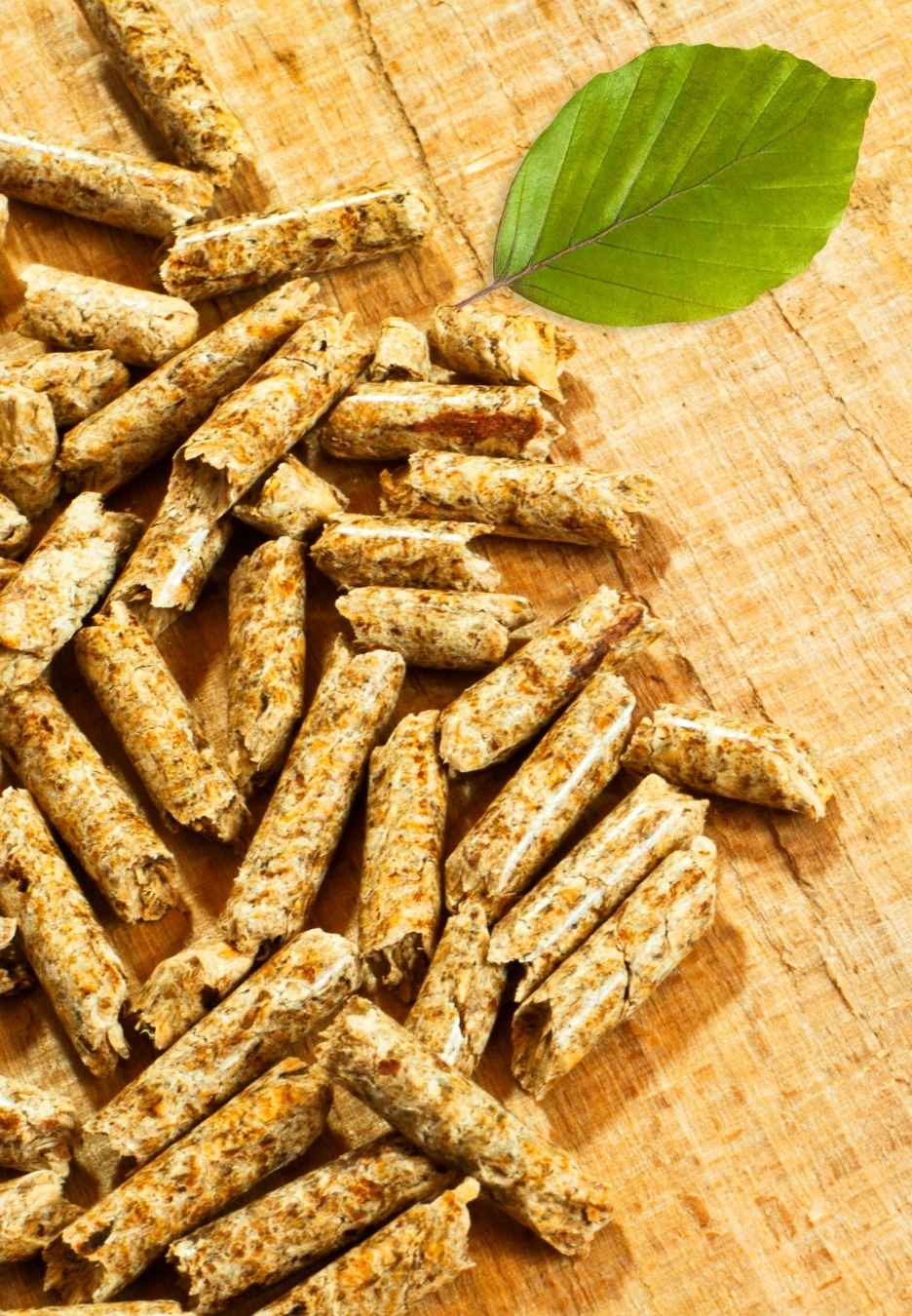 oak-pellets